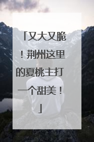 又大又脆！荆州这里的夏桃主打一个甜美！