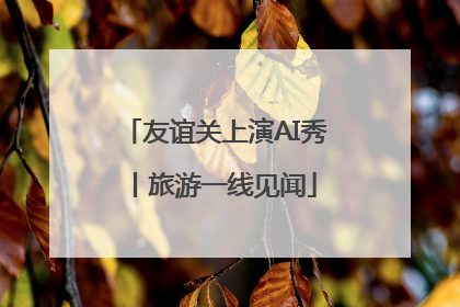 友谊关上演AI秀丨旅游一线见闻