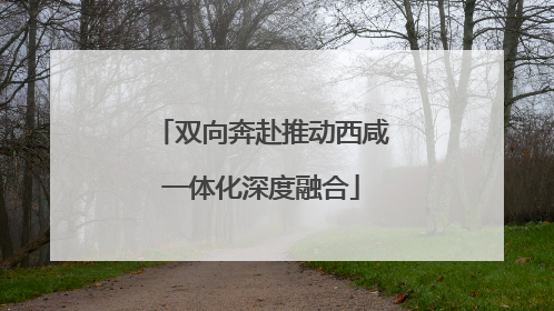 双向奔赴推动西咸一体化深度融合