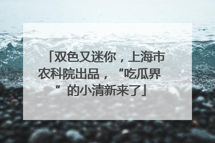 双色又迷你，上海市农科院出品，“吃瓜界”的小清新来了