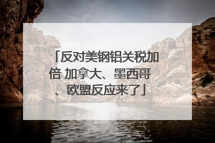 反对美钢铝关税加倍 加拿大、墨西哥、欧盟反应来了