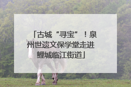 古城“寻宝”！泉州世遗文保学堂走进鲤城临江街道