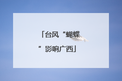 台风“蝴蝶”影响广西