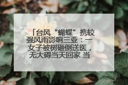 台风“蝴蝶”携较强风雨影响三亚：一女子被树砸倒送医，无大碍当天回家 当地已紧急清障