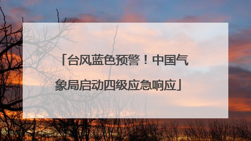 台风蓝色预警！中国气象局启动四级应急响应