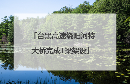 台黑高速绕阳河特大桥完成T梁架设