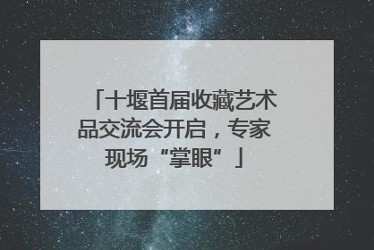 十堰首届收藏艺术品交流会开启，专家现场“掌眼”