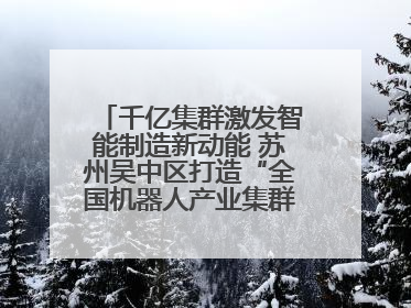 千亿集群激发智能制造新动能 苏州吴中区打造“全国机器人产业集群第一区”