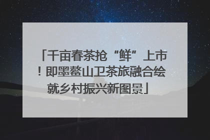 千亩春茶抢“鲜”上市！即墨鳌山卫茶旅融合绘就乡村振兴新图景