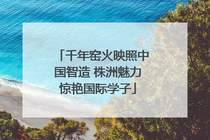 千年窑火映照中国智造 株洲魅力惊艳国际学子