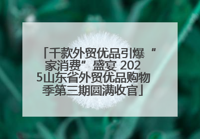 千款外贸优品引爆“家消费”盛宴 2025山东省外贸优品购物季第三期圆满收官