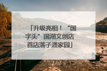 升级亮相！“国字头”国潮文创店首店落子潘家园