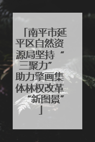 南平市延平区自然资源局坚持“三聚力” 助力擎画集体林权改革“新图景”