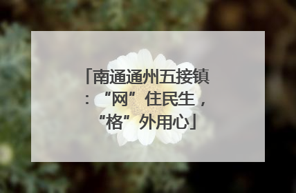 南通通州五接镇：“网”住民生，“格”外用心