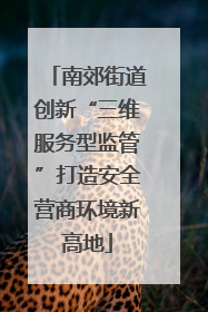 南郊街道创新“三维服务型监管”打造安全营商环境新高地