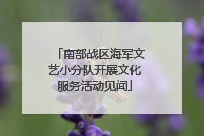 南部战区海军文艺小分队开展文化服务活动见闻