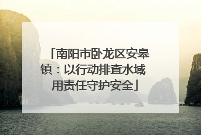南阳市卧龙区安皋镇：以行动排查水域 用责任守护安全