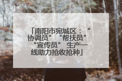 南阳市宛城区：“协调员”“帮扶员”“宣传员” 生产一线助力抢收抢种
