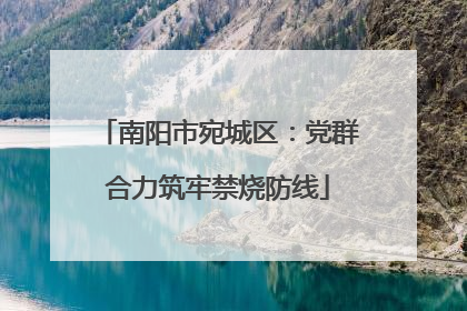 南阳市宛城区：党群合力筑牢禁烧防线
