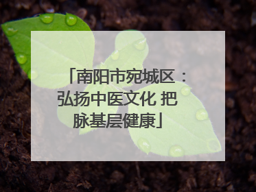 南阳市宛城区：弘扬中医文化 把脉基层健康