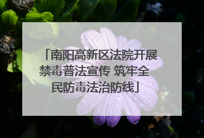南阳高新区法院开展禁毒普法宣传 筑牢全民防毒法治防线