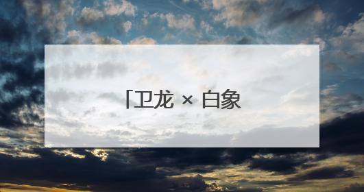 卫龙 × 白象跨界联名：辣味基因的跨维度共振与行业范式重构