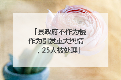 县政府不作为慢作为引发重大舆情，25人被处理