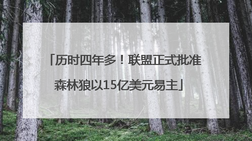 历时四年多！联盟正式批准森林狼以15亿美元易主