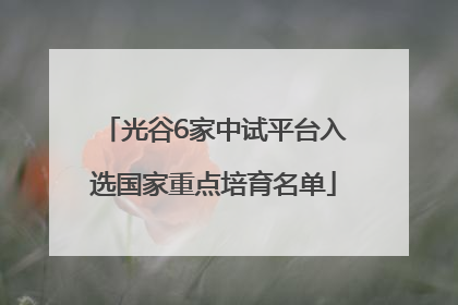 光谷6家中试平台入选国家重点培育名单