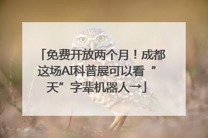 免费开放两个月！成都这场AI科普展可以看“天”字辈机器人→