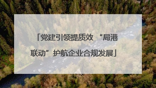 党建引领提质效 “局港联动”护航企业合规发展