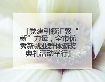党建引领汇聚“新”力量，全市优秀新就业群体颁奖典礼活动举行