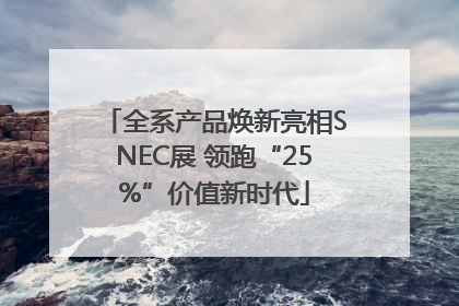 全系产品焕新亮相SNEC展 领跑“25%”价值新时代