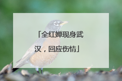 全红婵现身武汉，回应伤情