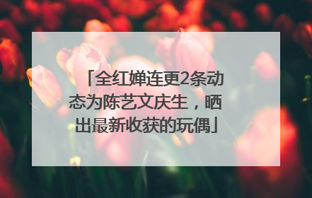 全红婵连更2条动态为陈艺文庆生，晒出最新收获的玩偶