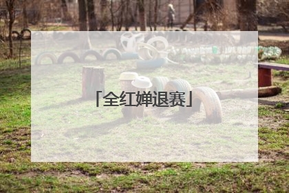 全红婵退赛