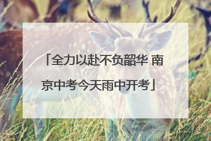 全力以赴不负韶华 南京中考今天雨中开考