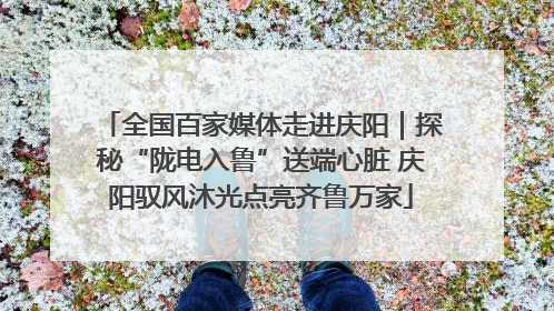全国百家媒体走进庆阳｜探秘“陇电入鲁”送端心脏 庆阳驭风沐光点亮齐鲁万家