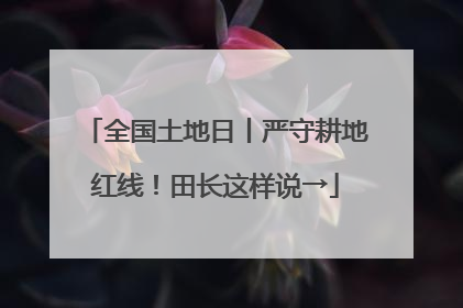 全国土地日丨严守耕地红线！田长这样说→