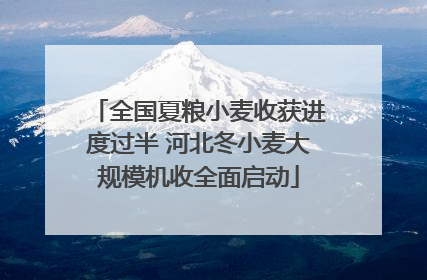 全国夏粮小麦收获进度过半 河北冬小麦大规模机收全面启动