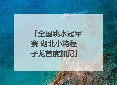 全国跳水冠军赛 湖北小将程子龙首度加冕