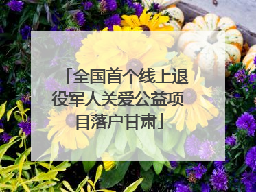 全国首个线上退役军人关爱公益项目落户甘肃