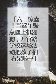 六一惊喜！当端午鼓点遇上机器狗，万官路学校这场活动把孩子们看呆啦→