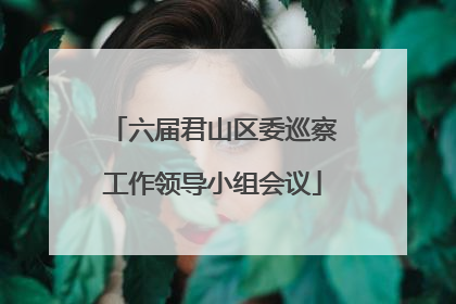 六届君山区委巡察工作领导小组会议