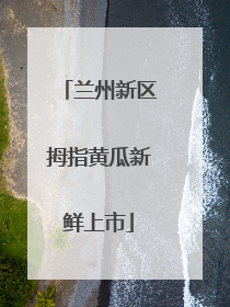 兰州新区拇指黄瓜新鲜上市