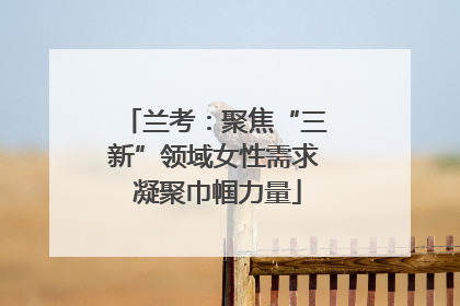 兰考：聚焦“三新”领域女性需求 凝聚巾帼力量