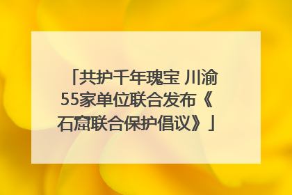 共护千年瑰宝 川渝55家单位联合发布《石窟联合保护倡议》