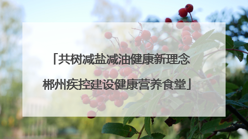 共树减盐减油健康新理念 郴州疾控建设健康营养食堂