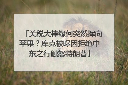 关税大棒缘何突然挥向苹果？库克被曝因拒绝中东之行触怒特朗普