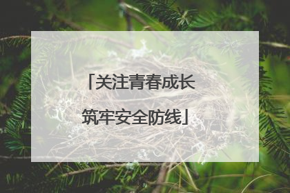 关注青春成长 筑牢安全防线